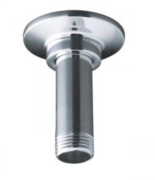 Master Shower Ceiling Mount Shower Head